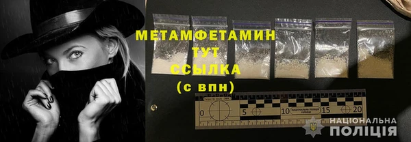 гидра Киселёвск