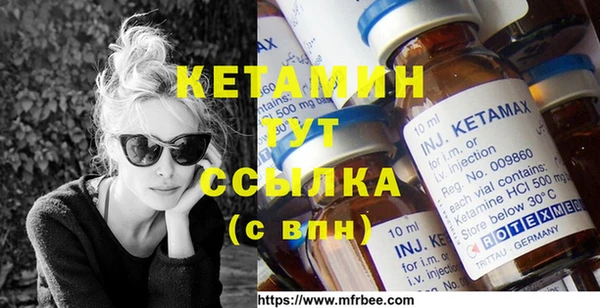 гидра Киселёвск