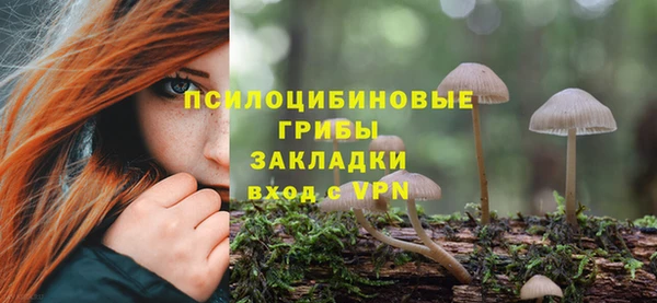 стафф Пересвет