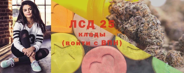 стафф Пересвет