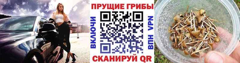 где можно купить   Реж  Псилоцибиновые грибы мухоморы 
