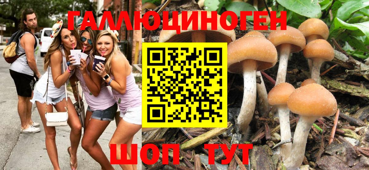 Галлюциногенные грибы Cubensis Реж